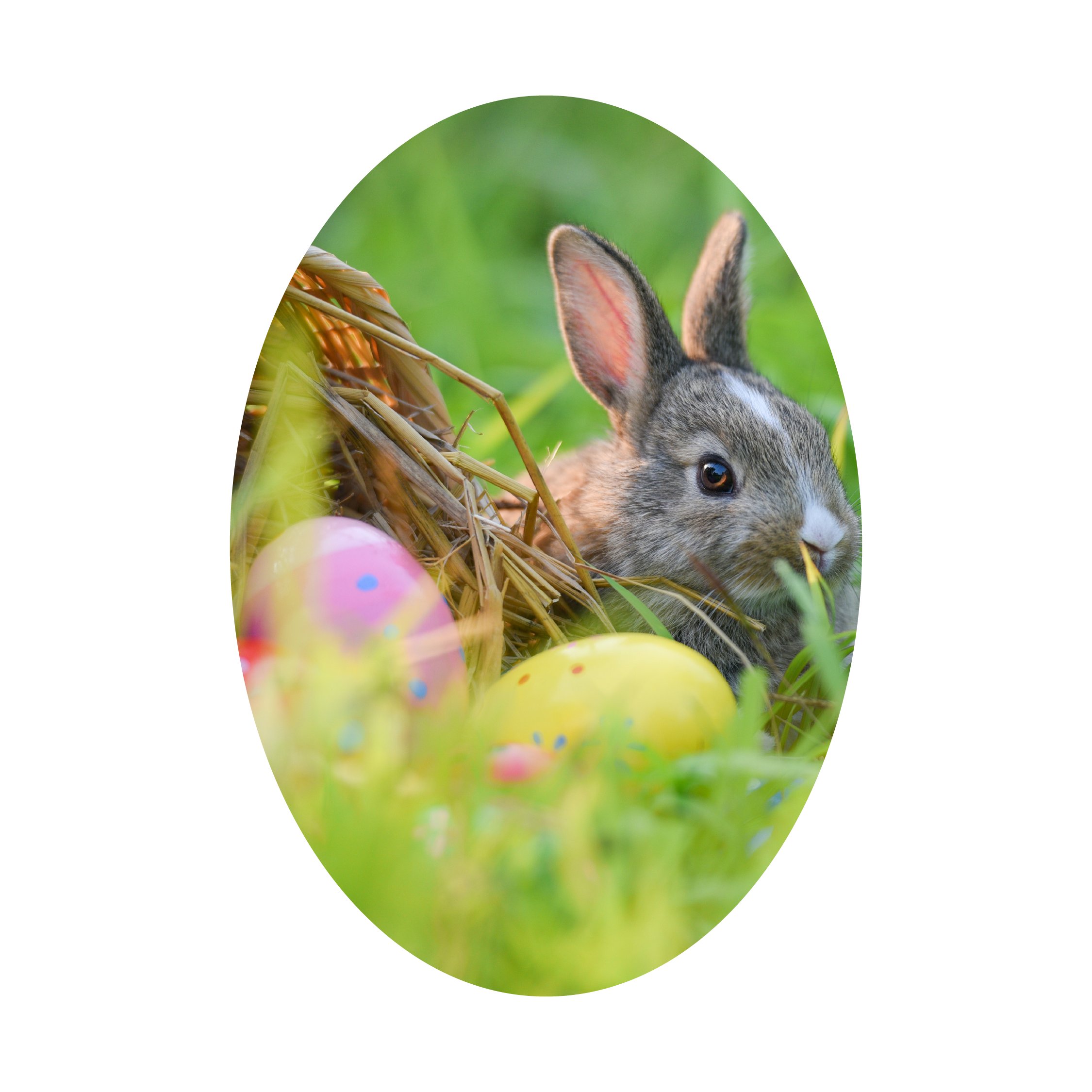 Easter Closure Web Egg 2026