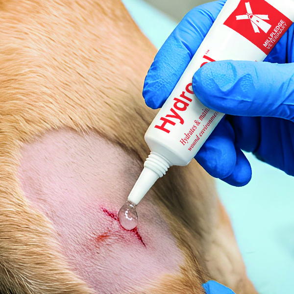 Hydrogel Apply WEB