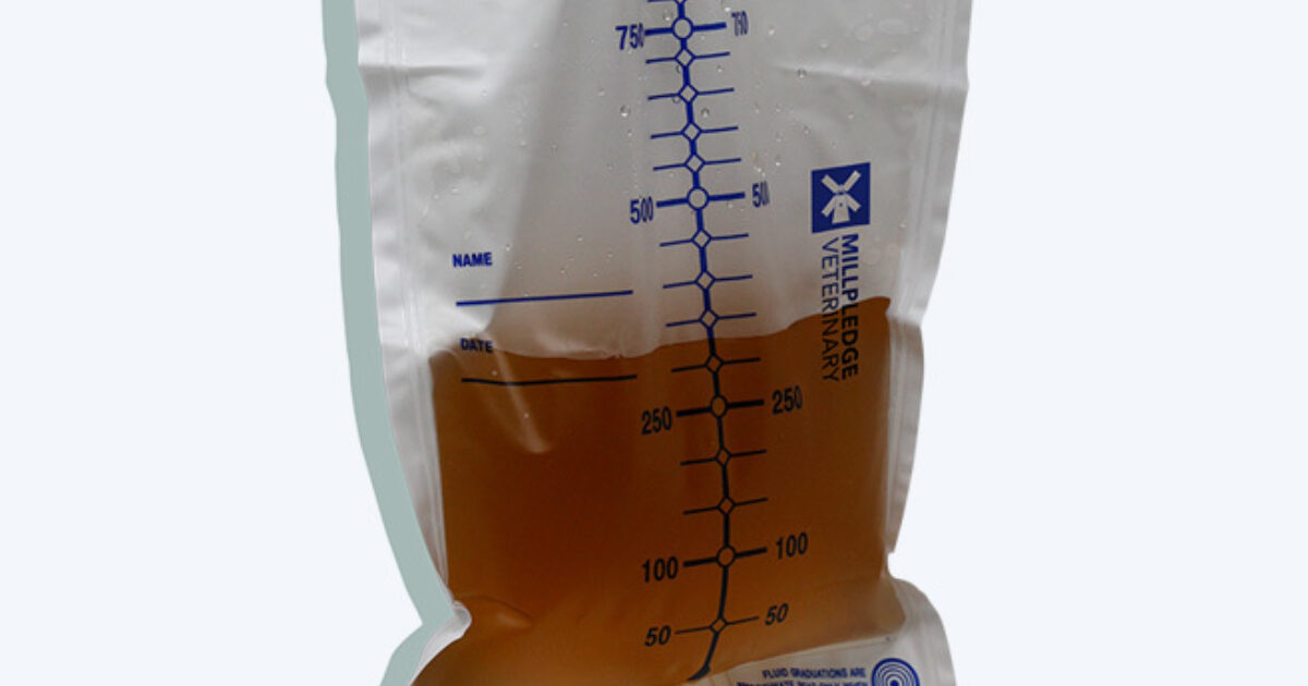 Collecteur à Urine 2 Litres Avec Valve - Poche De Récupération Médicale, Neuf, Pour Soins à Domicile