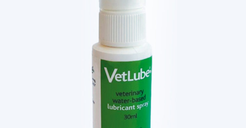 gel lubricant spray WD-40 SPECIALIST GEL LUBRICANT 10 OZ SMART STRAW (WD4-30010) main image 1