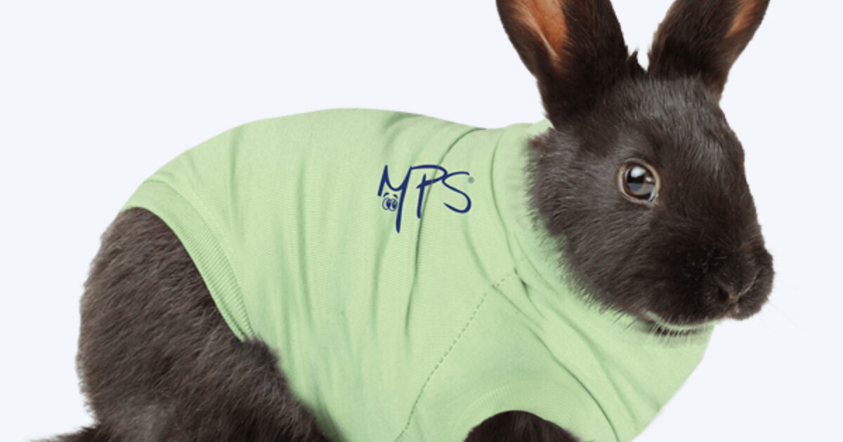 Medical Pet Shirts – KONIJN | Millpledge